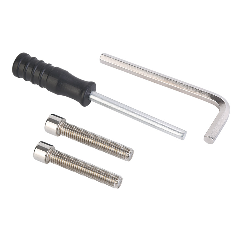 Saldatore per fusione con presa a temperatura costante FYF110 220V/110V